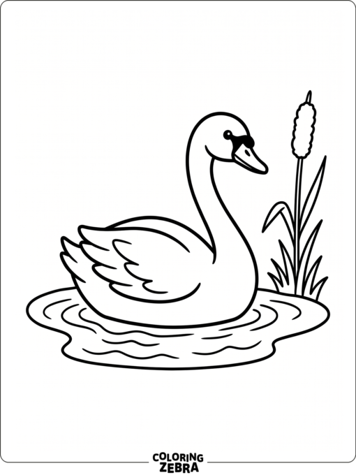 A simple swan floating on smooth water