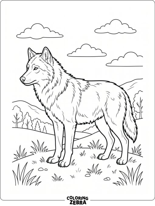 A simple wolf standing on grass with clouds above
