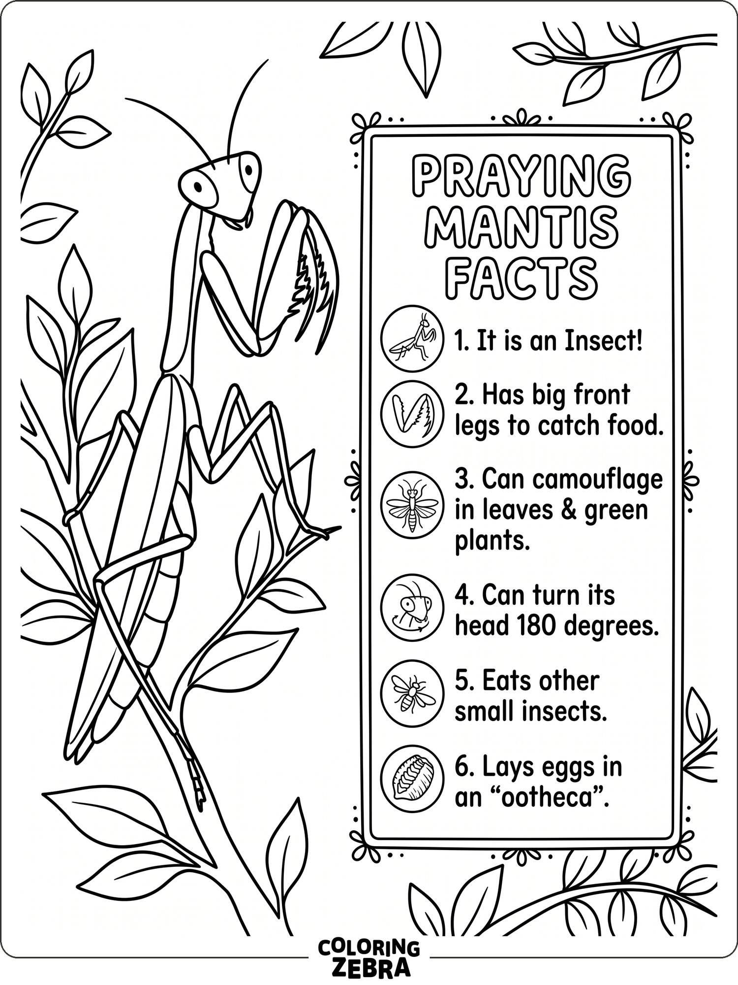35 Free Praying Mantis Coloring Pages - Printable PDF Sheets