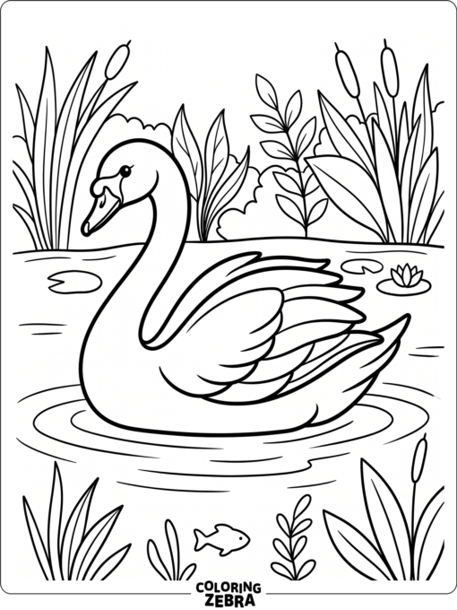 An elegant swan with a long curved neck on a pond