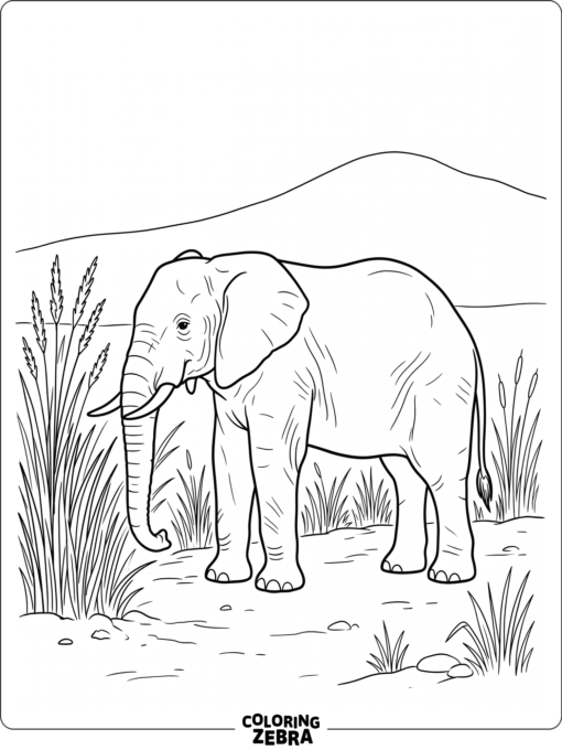 A lone elephant near grass and a hill