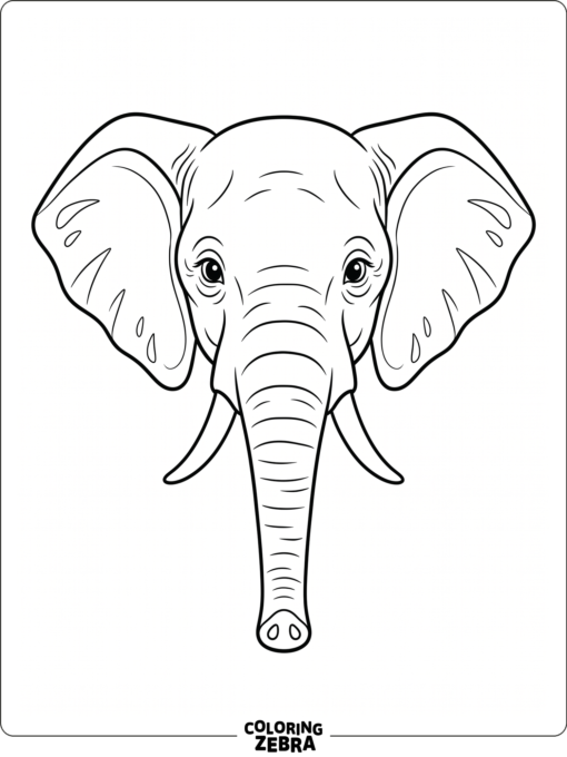 An elephant face with large ears and a calm expression