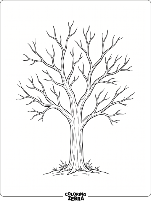 A bare tree with open branches