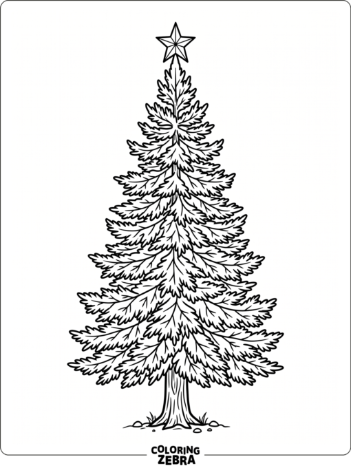 A tall evergreen tree with layered branches and a star