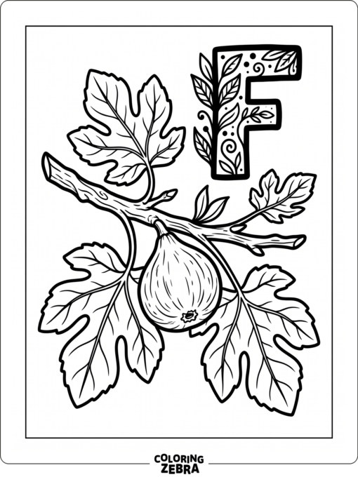 A fig on a branch beside a large letter F
