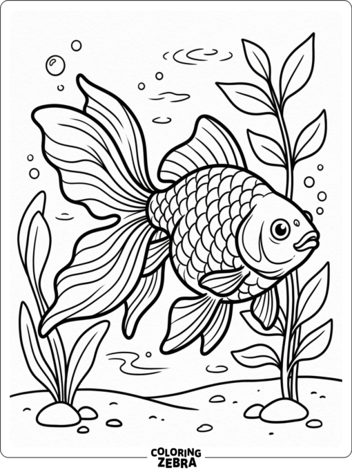 A fantail goldfish with a split tail