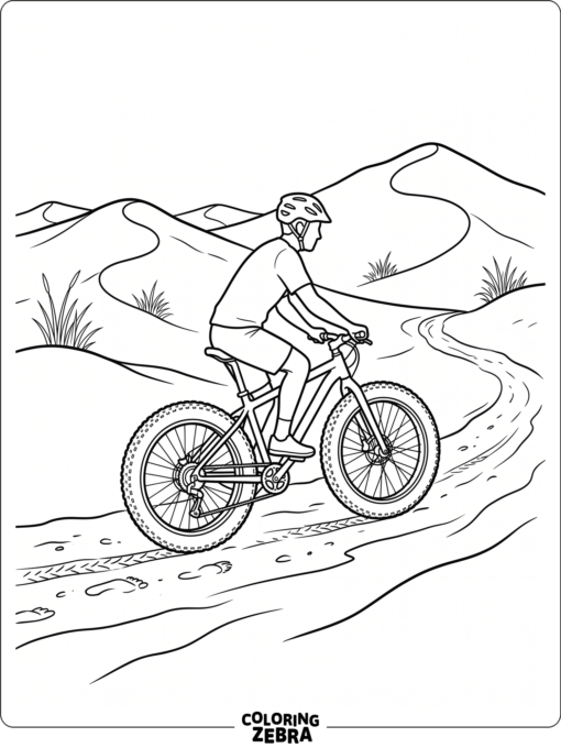 A fat tire bike on sand near low dunes
