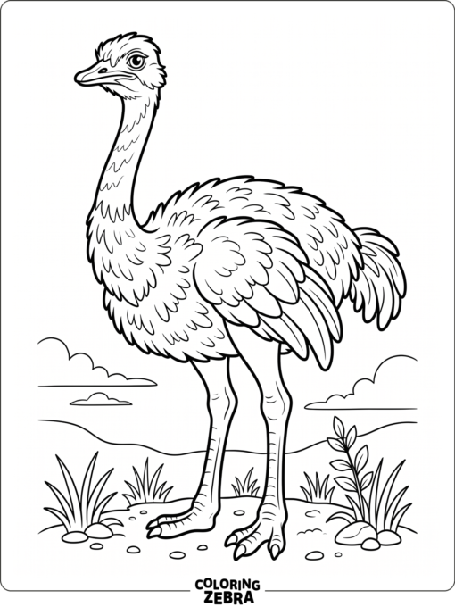 A female ostrich standing calmly with softer feather details