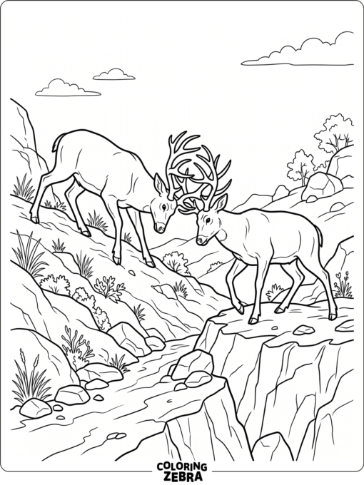 Two deer locking antlers on a hill