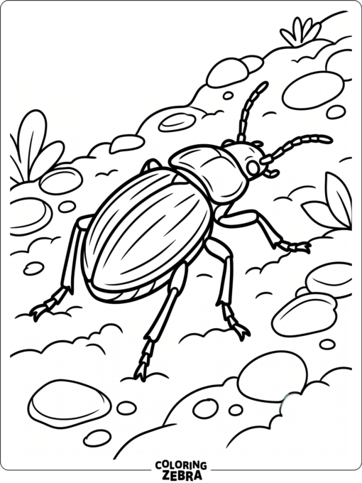 A ground beetle walking across the soil