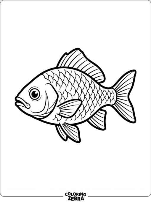 A clean fish outline with no background