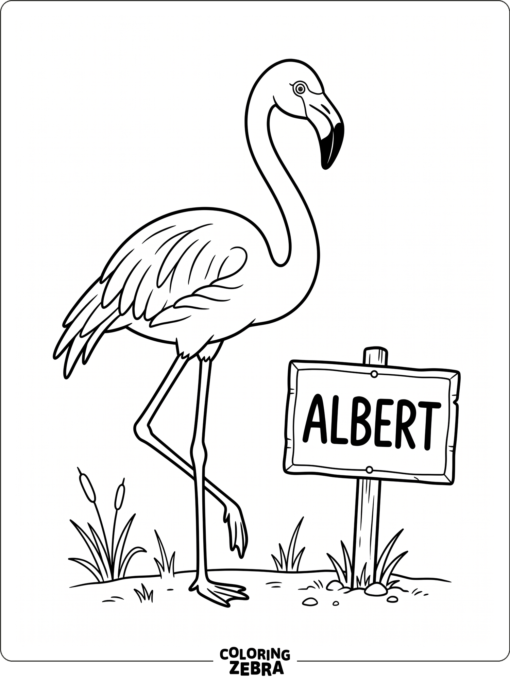 A flamingo beside a name sign reading Albert
