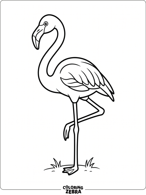 A black and white flamingo standing on one leg