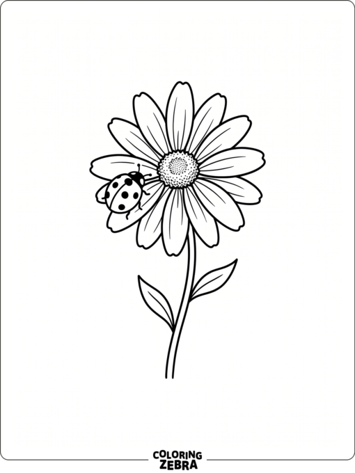 A flower with a ladybug on one petal