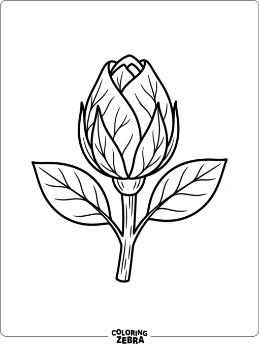 A closed flower bud with a short stem and leaves