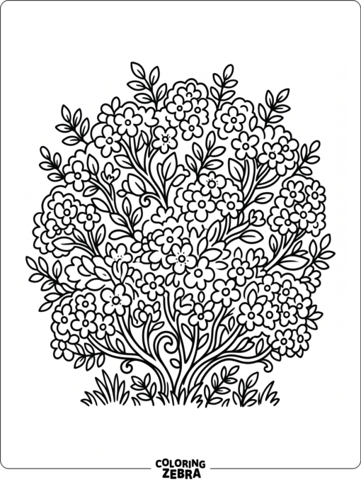 A flower bush with many blooms and leafy branches
