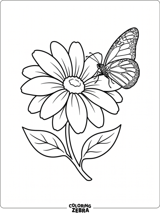 A butterfly resting on a flower petal