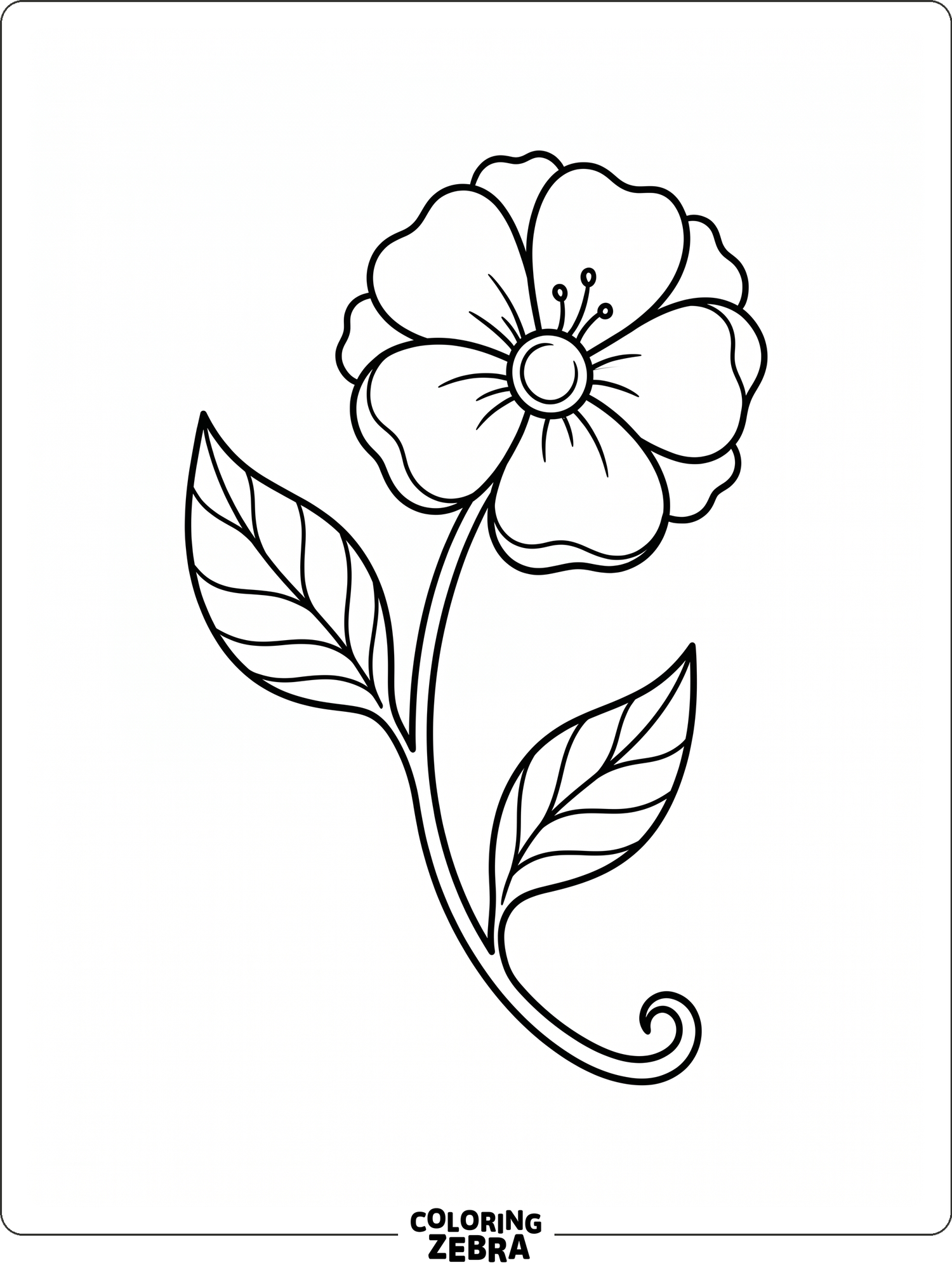 A simple blossom with clean petals and a few leaves