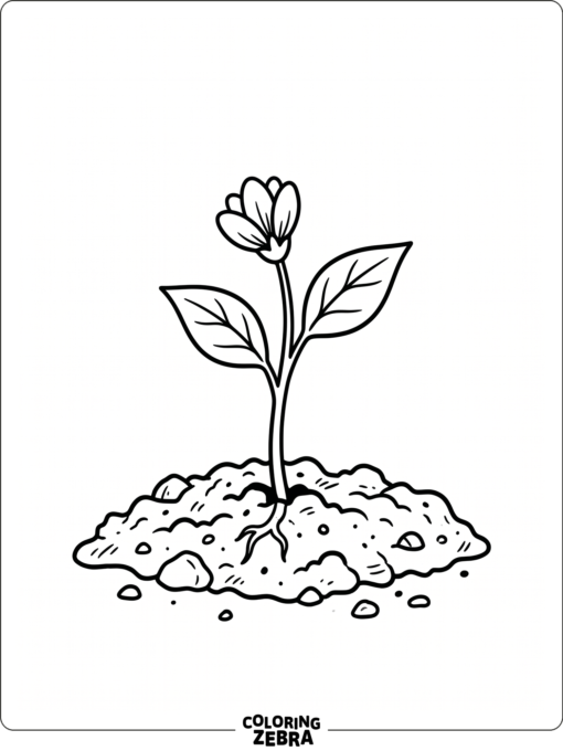 A young flower sprouting from the soil