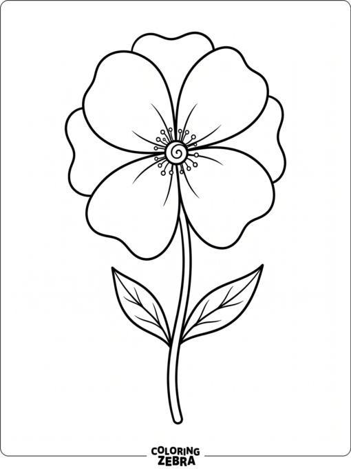 A single flower head with broad petals and a stem