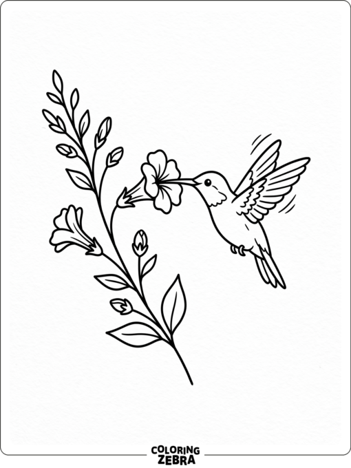 A hummingbird sipping nectar from a flower