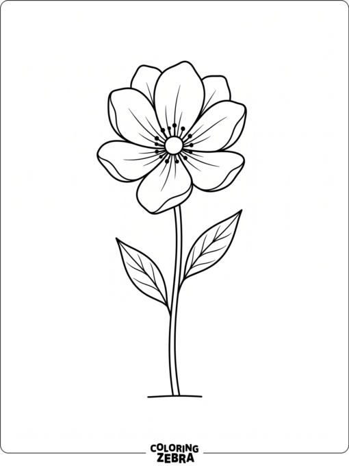 A single flower drawn in clean line art