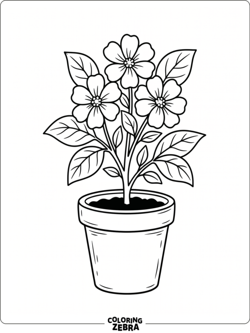 A potted flower plant with leaves and a simple pot