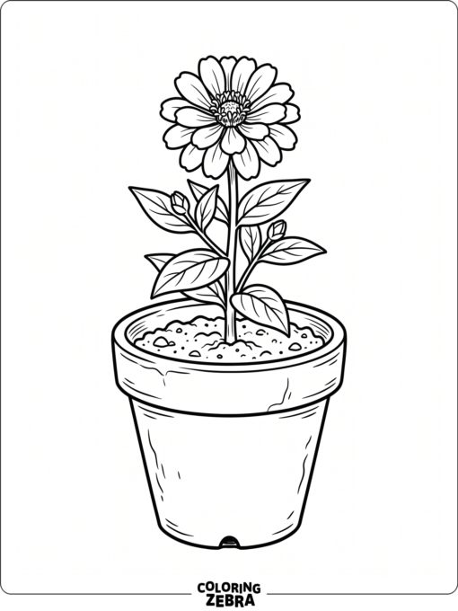 A flower growing in a simple clay pot