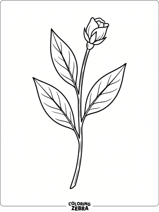 A flower stem with leaves and a small bud