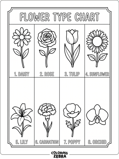 A flower type chart with several blossom shapes