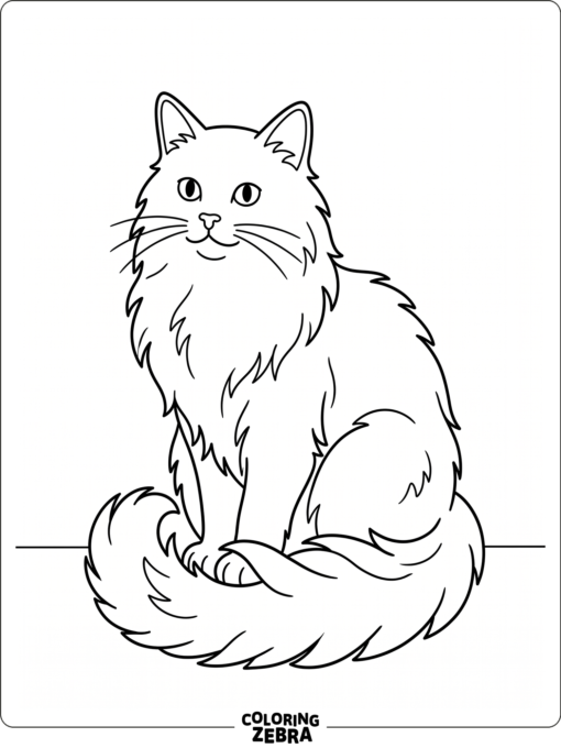 A fluffy cat sitting with its tail wrapped around its paws