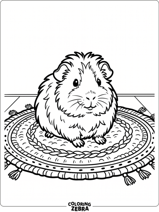 A fluffy guinea pig sitting on a soft rug