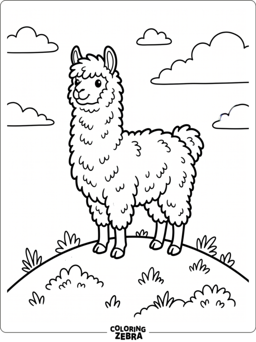 A fluffy llama standing on a hill with simple bold outlines
