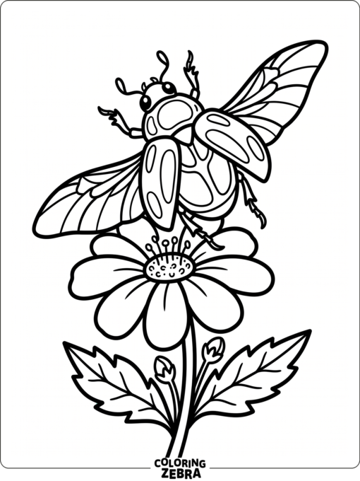 A beetle with wings open above a flower