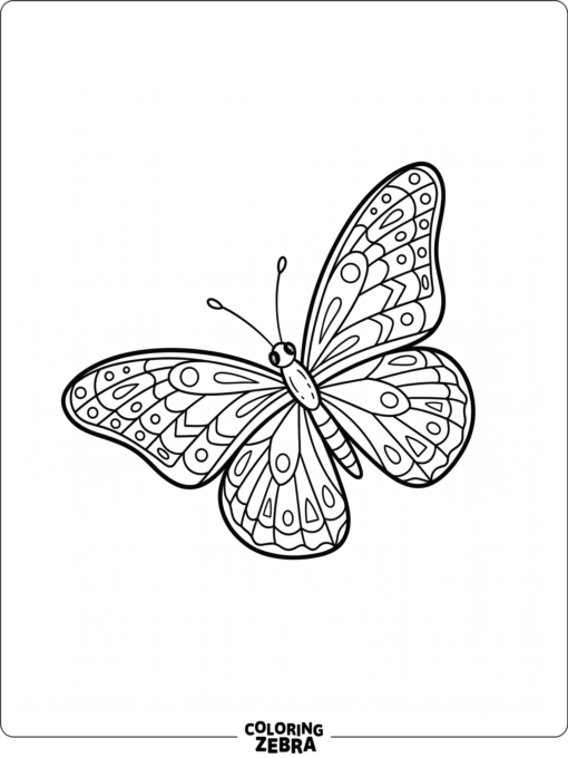 A butterfly flying through the air