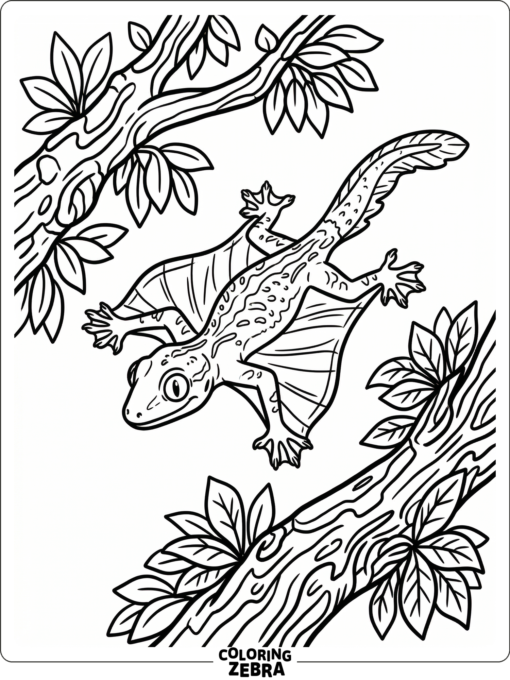 A flying gecko glides between two tree branches