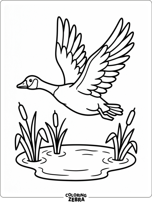 A goose flying over a pond with wings spread