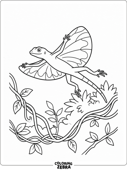 A flying lizard spreading its wings above a vine