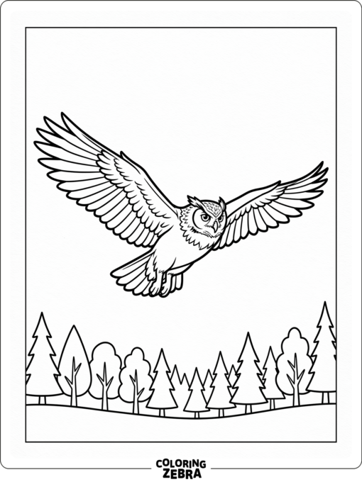 A flying owl with wings spread wide