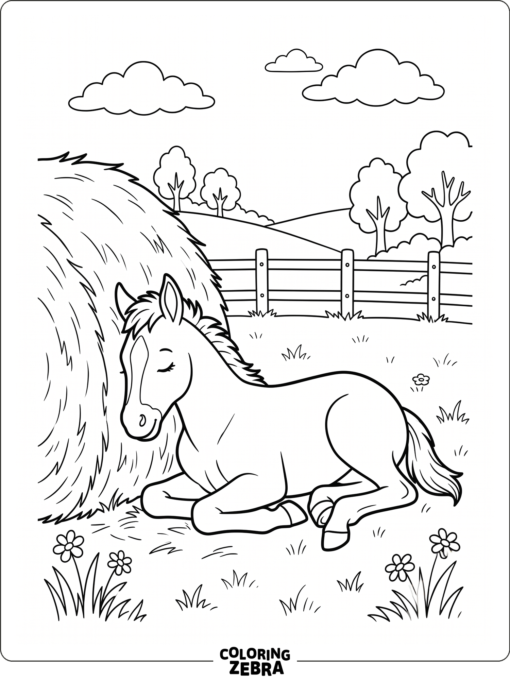 A foal resting beside a hay bale