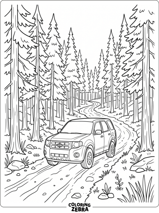 An SUV drives on a forest road with pine trees