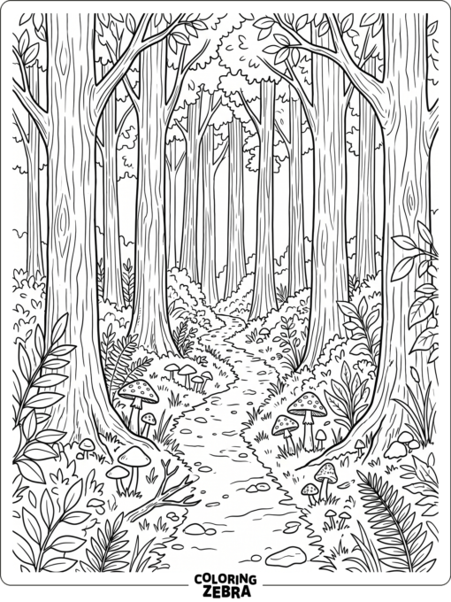 A wide forest landscape with tall trees and hills