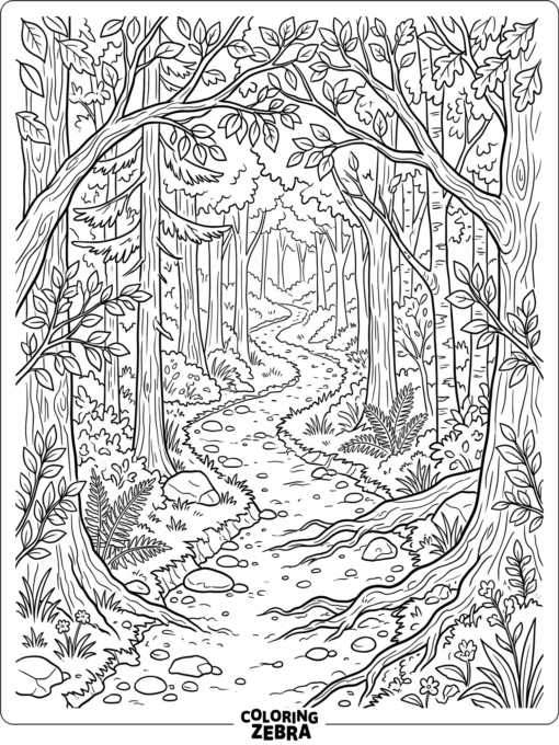 A winding forest path with stones and roots