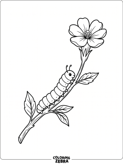 A caterpillar on a stem with a flower