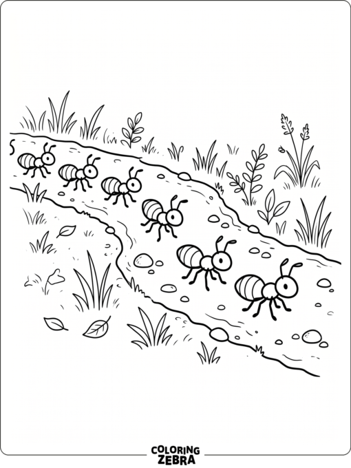 A group of ants on a path with pebbles