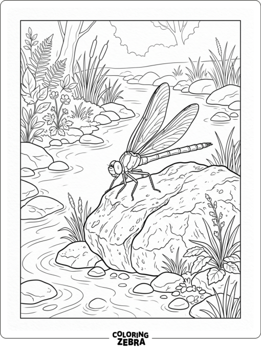 A dragonfly resting on a rock by a stream