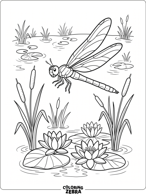 A dragonfly above reeds and water lilies