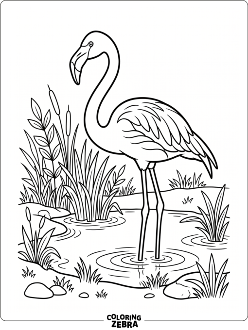A flamingo standing on one leg near water