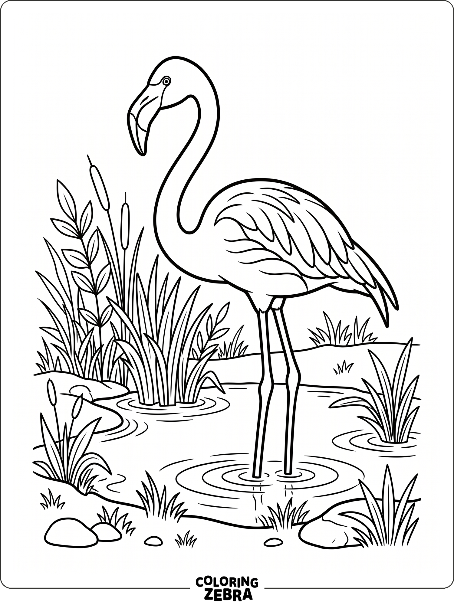 A flamingo standing in a pond with tall grass