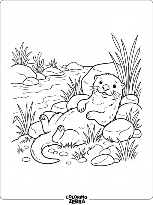 An otter resting on a riverbank with rocks